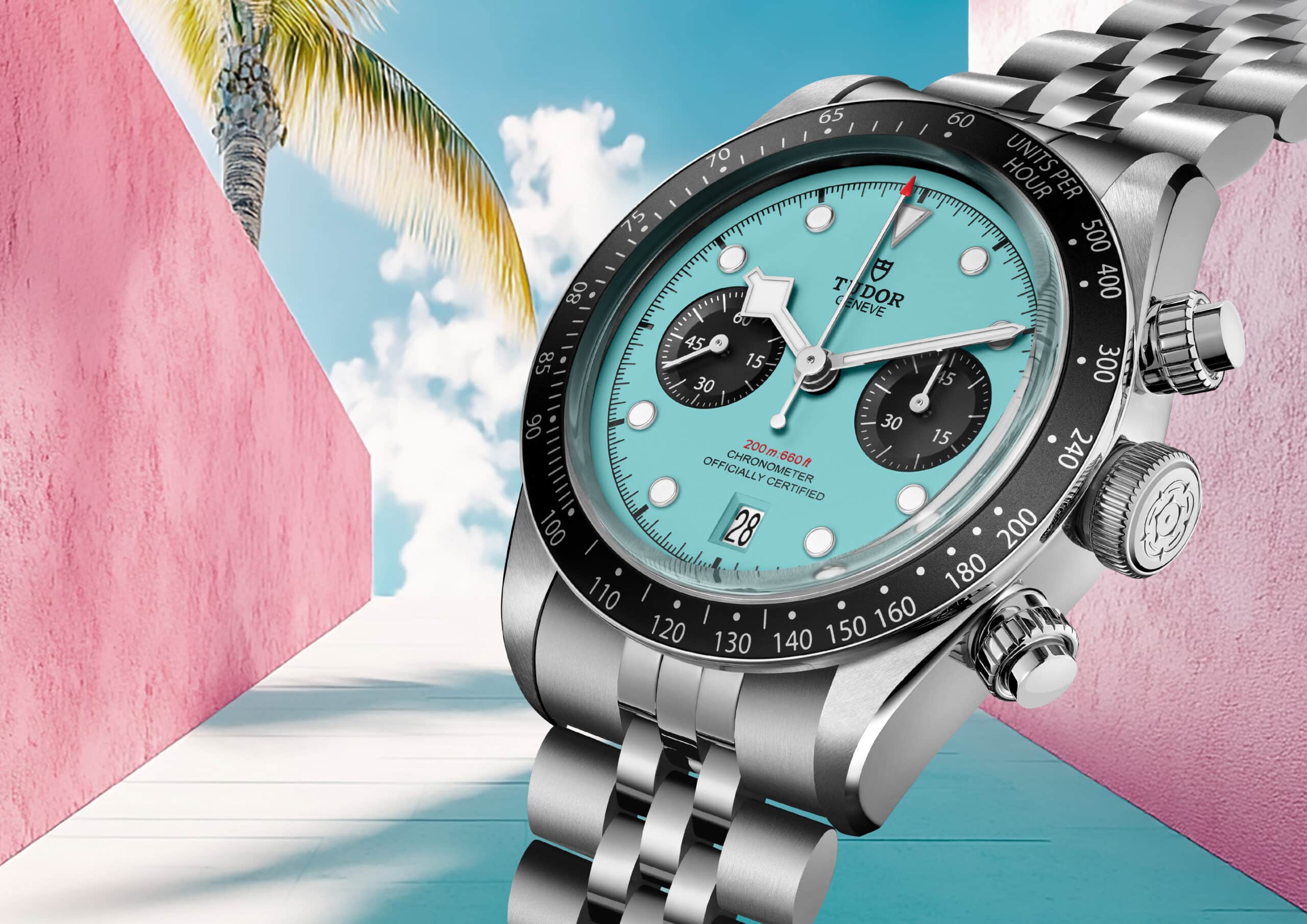 THE BLACK BAY CHRONO “FLAMINGO BLUE”: A BOLD AND VIBRANT CHOICE