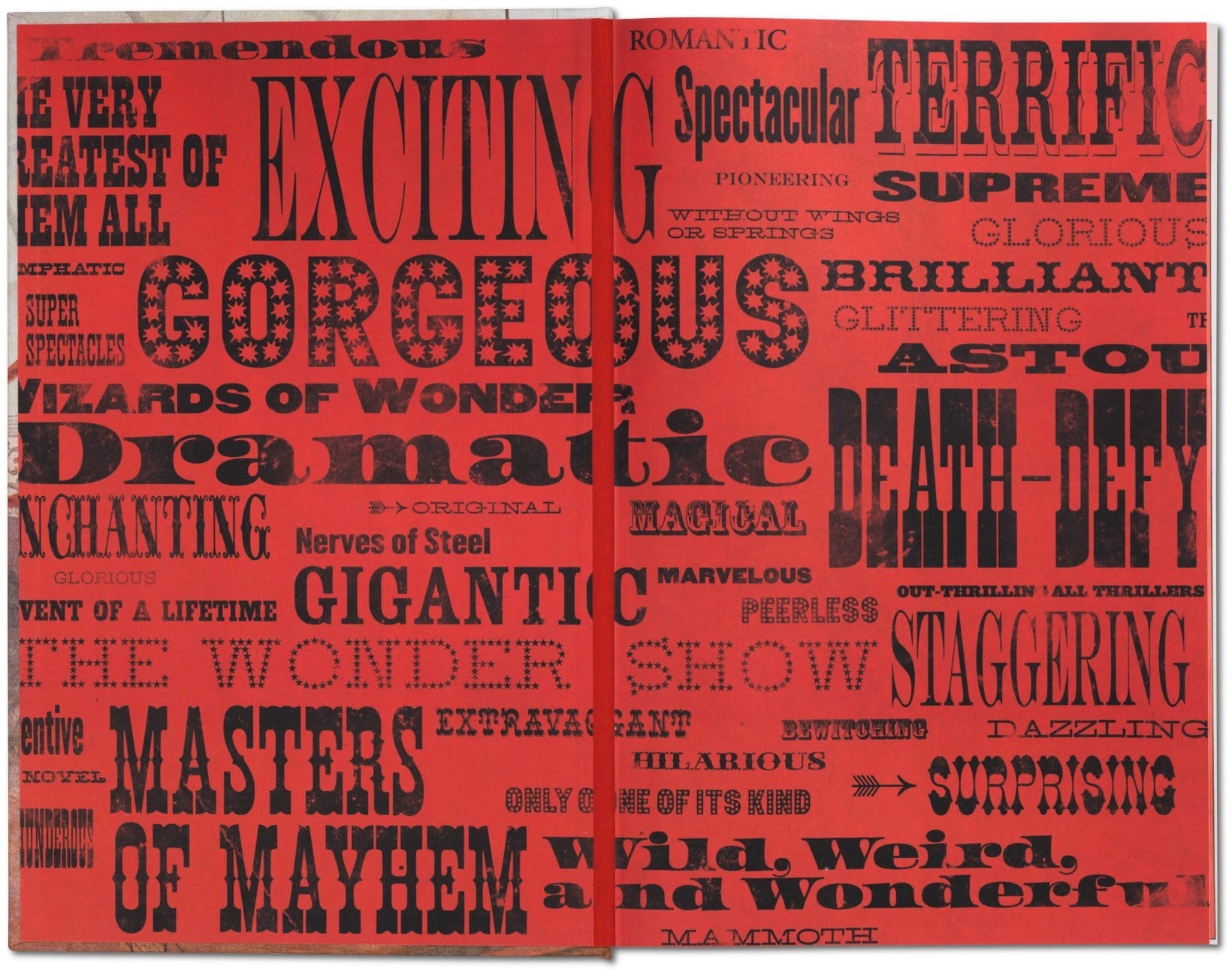 Circus History 9783836586641