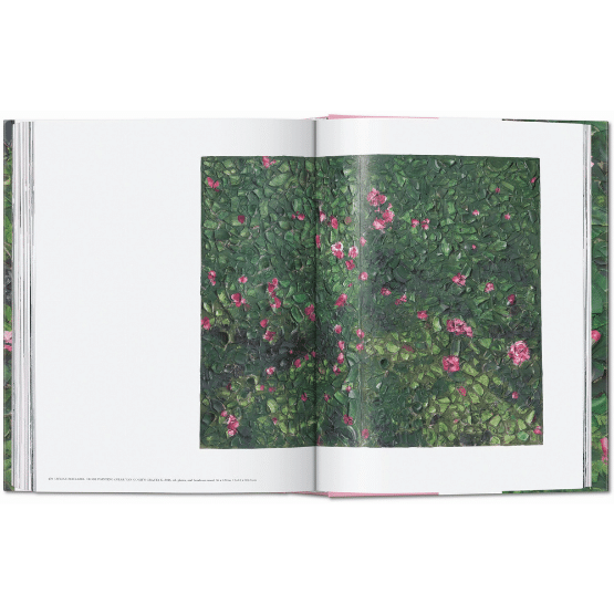 Julian Schnabel 9783836596305