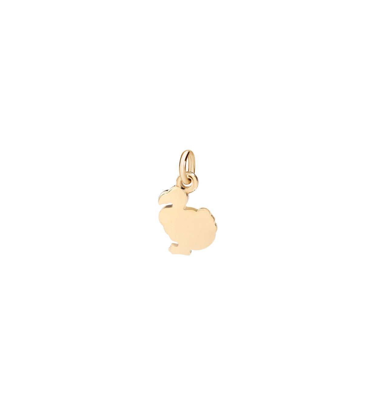 Dodo charm