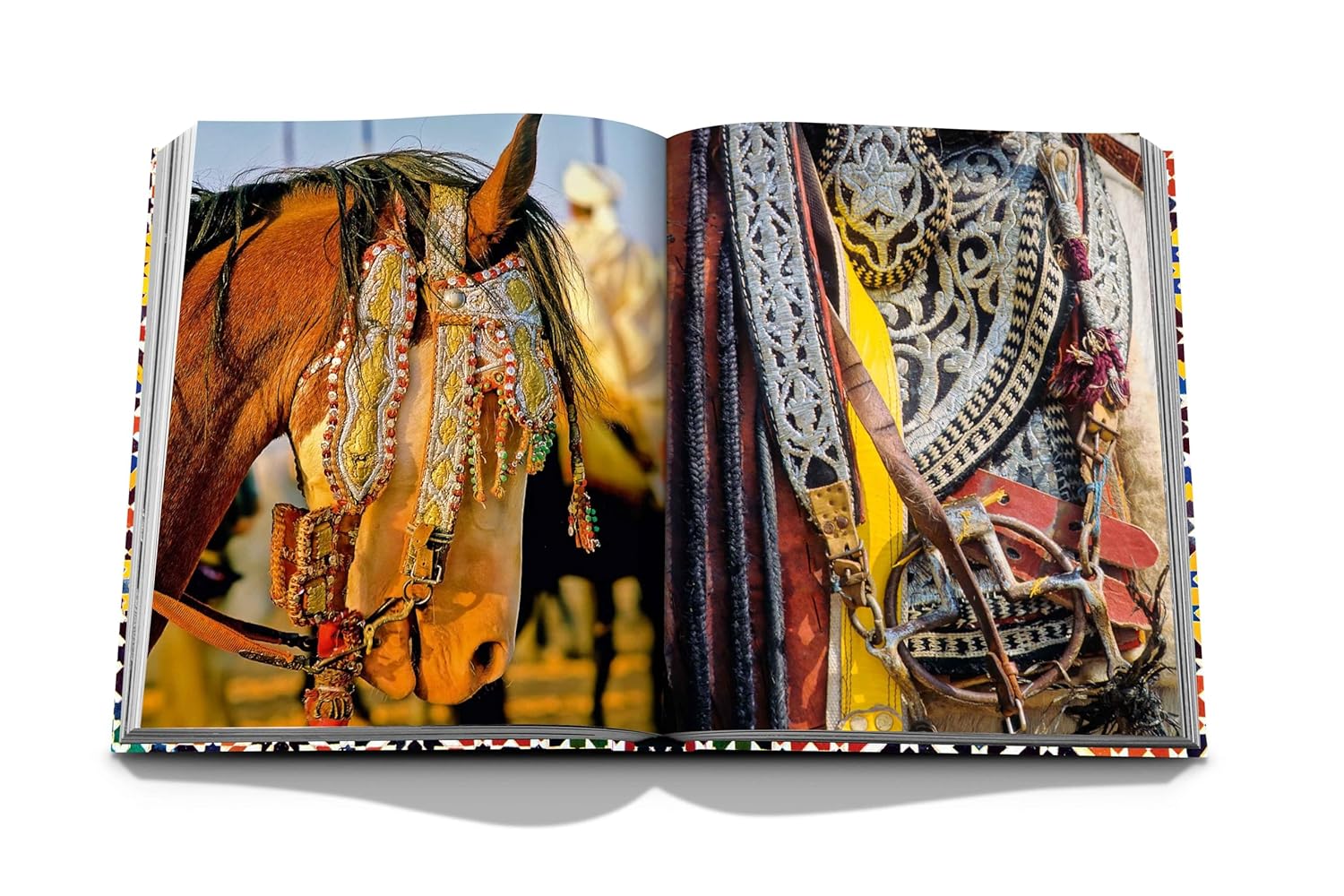 Moroccan Decorative Arts 9781649802392