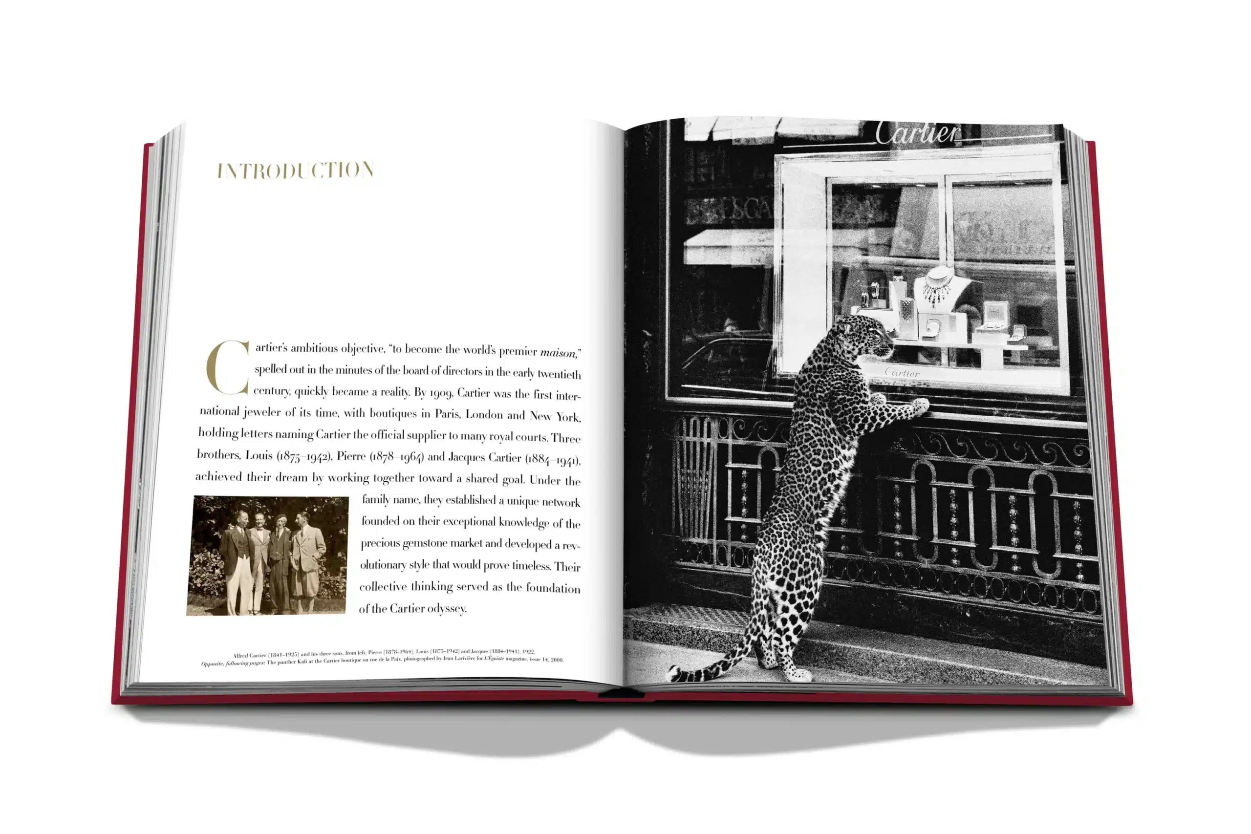 Cartier: The Impossible Collection 9781649802262