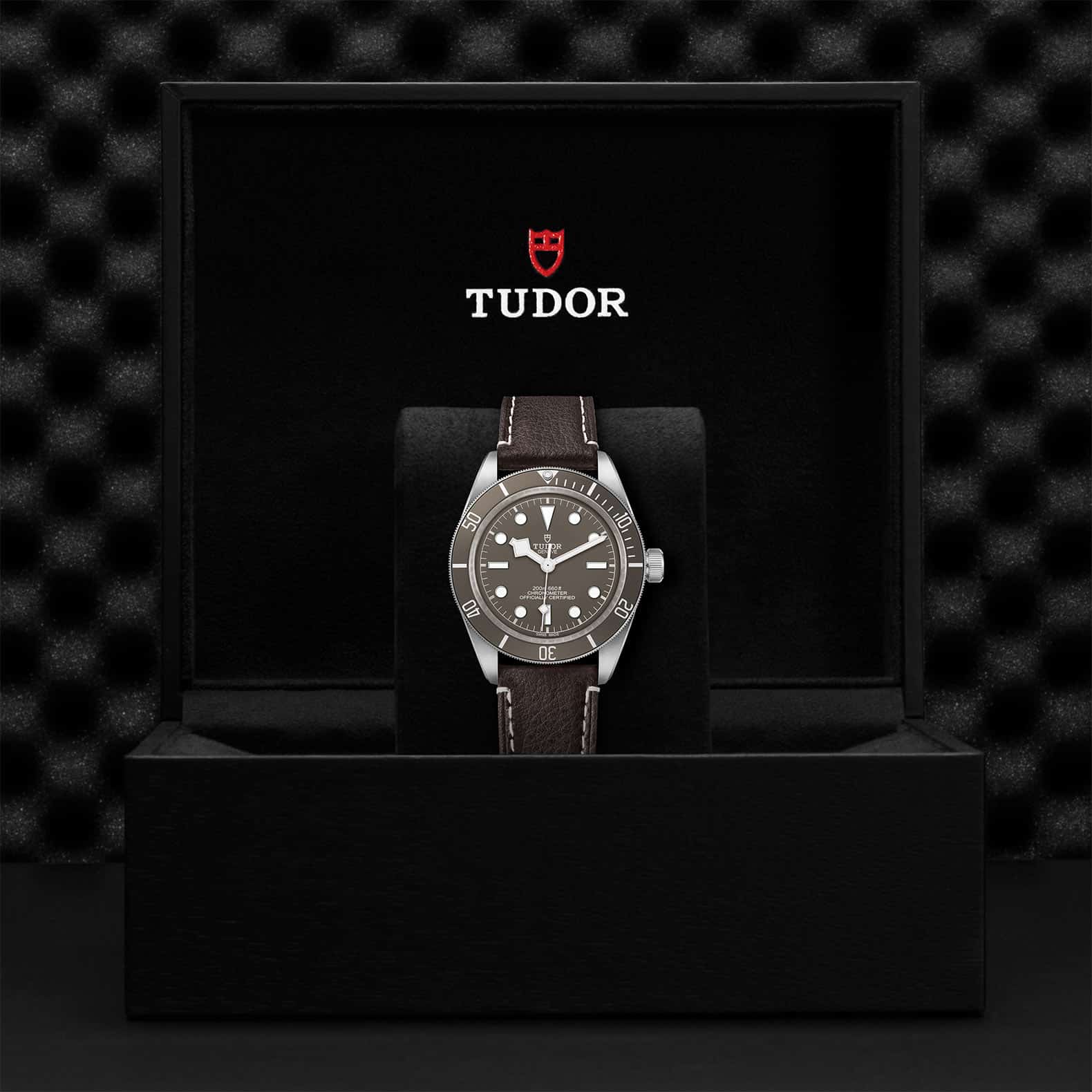 Black Bay Silver M79010SG-0001