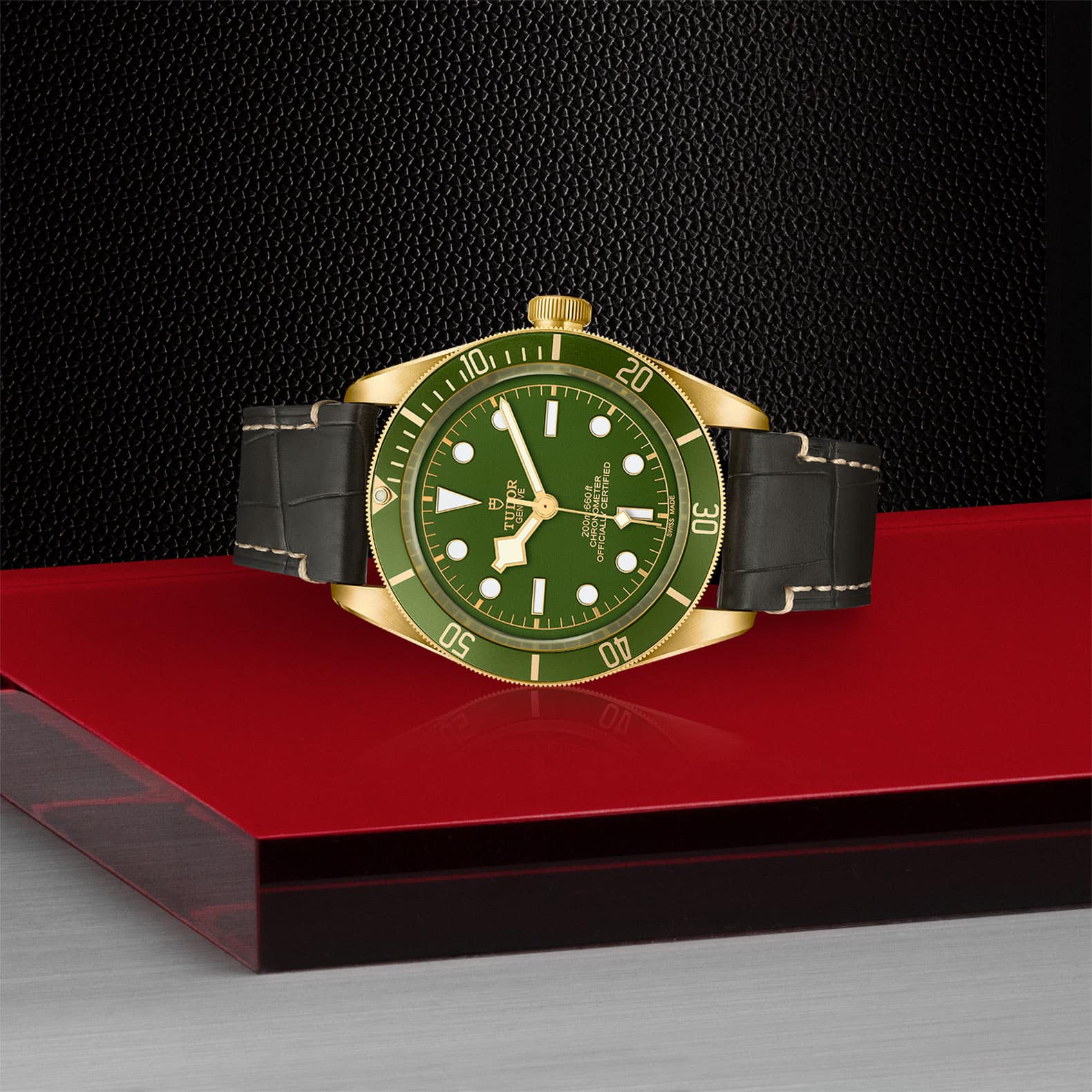 Black Bay Yellow Gold M79018V-0001 AU750