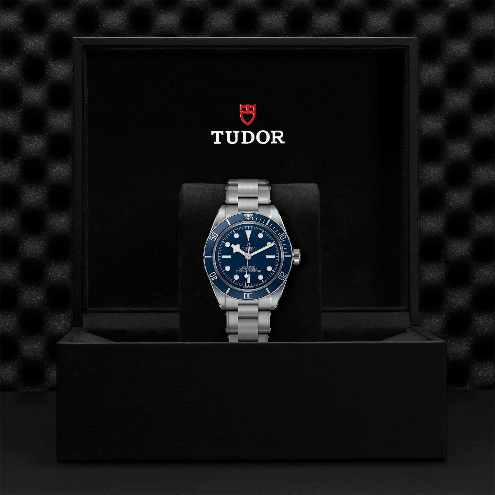 Black Bay Stainless Steel M79030B-0001