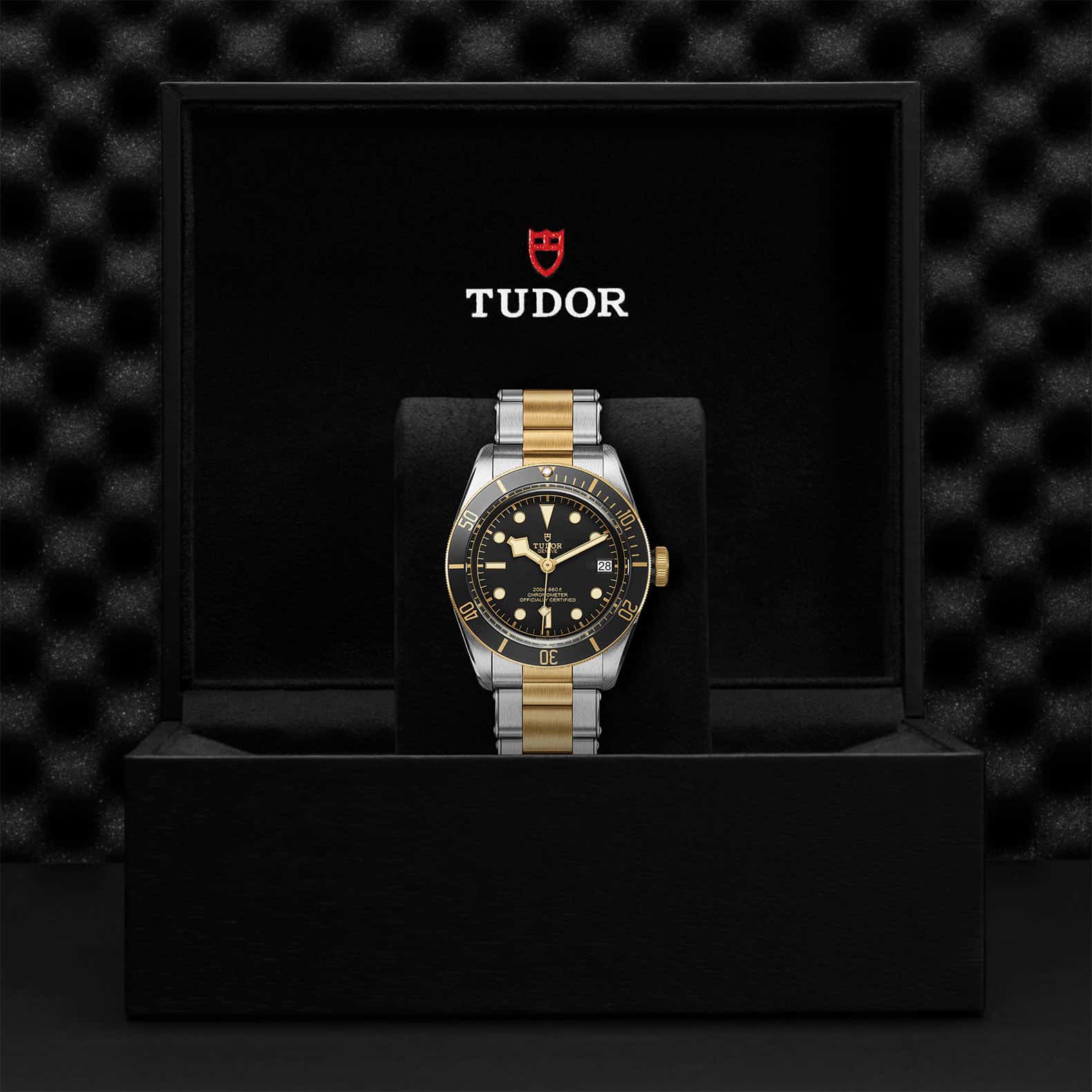 Heritage Black Bay Stainless Steel & Yellow Gold M79733N-0008