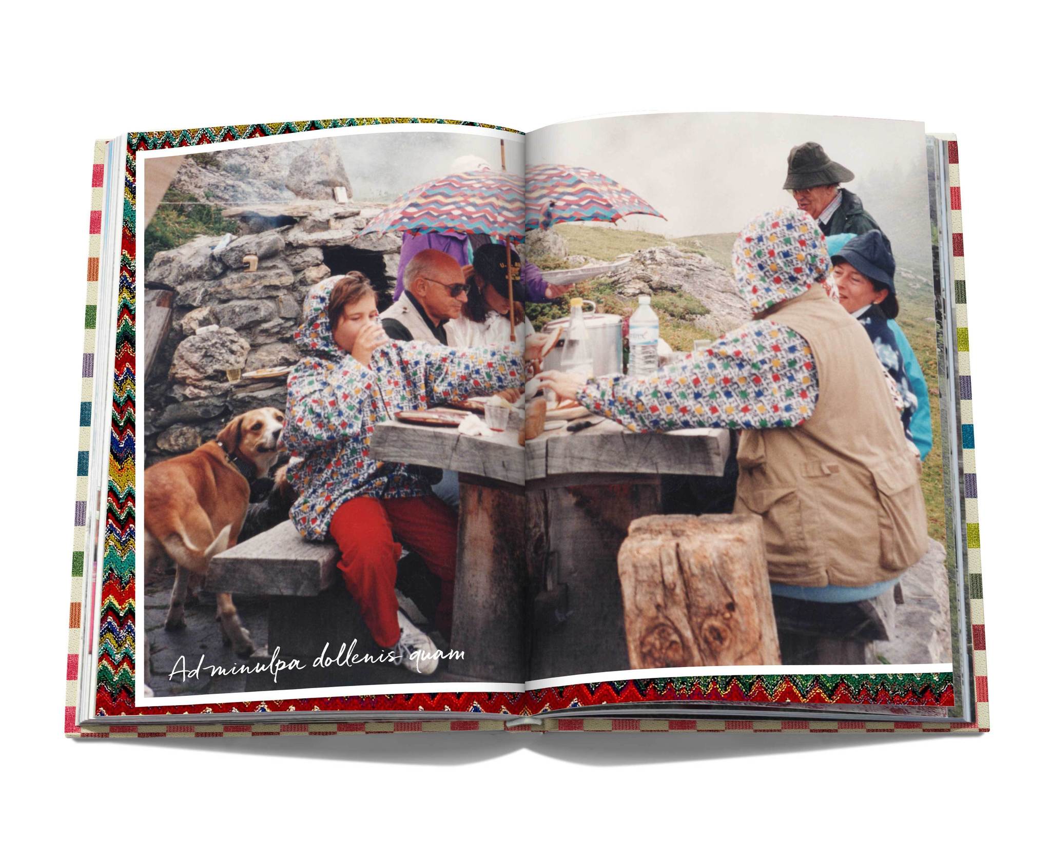 The Missoni Family Cookbook 9781614286646