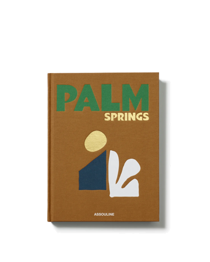 Palm Springs 9781649803511