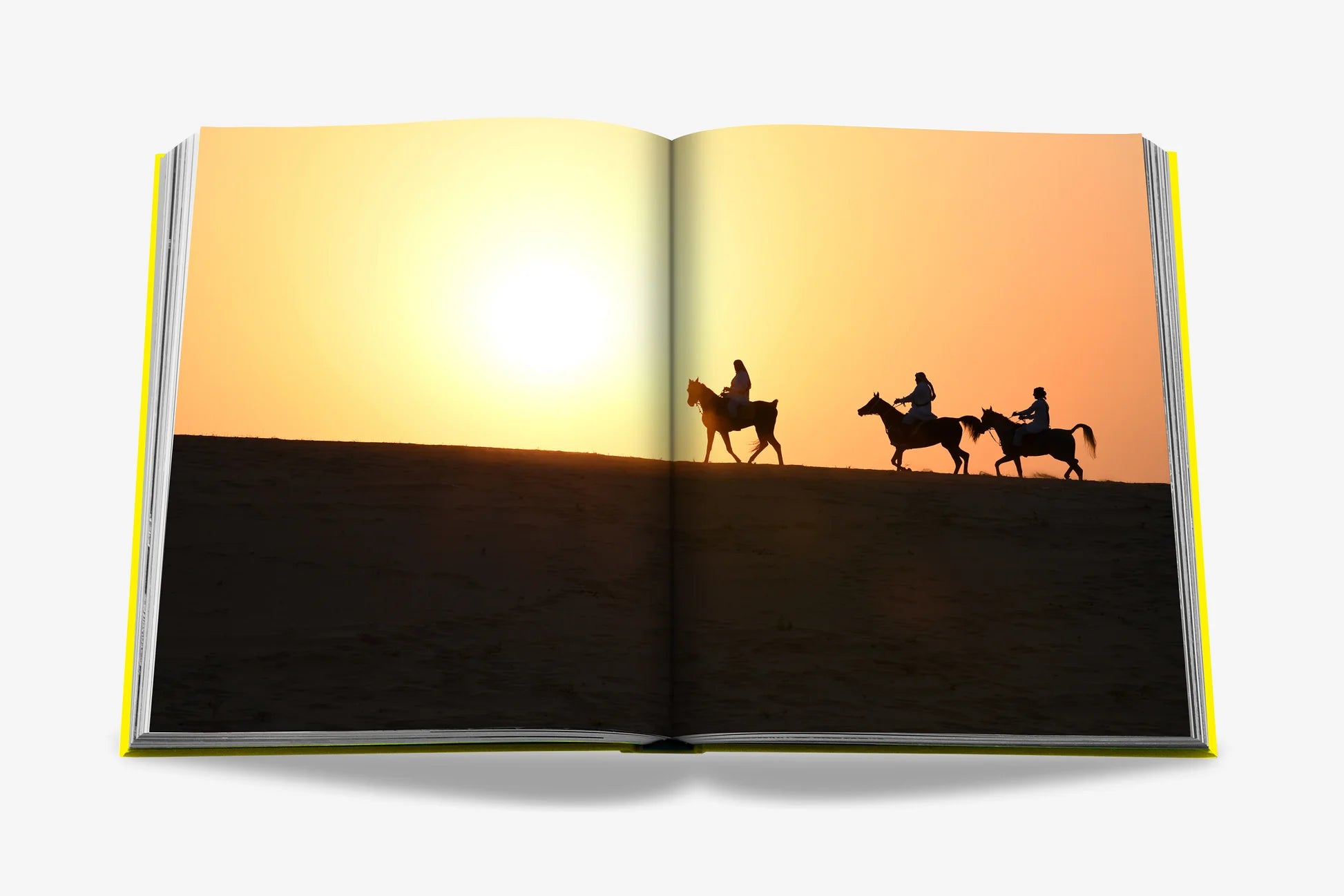 Saudi Arabia: Al-ahsa Oasis 9781649800923