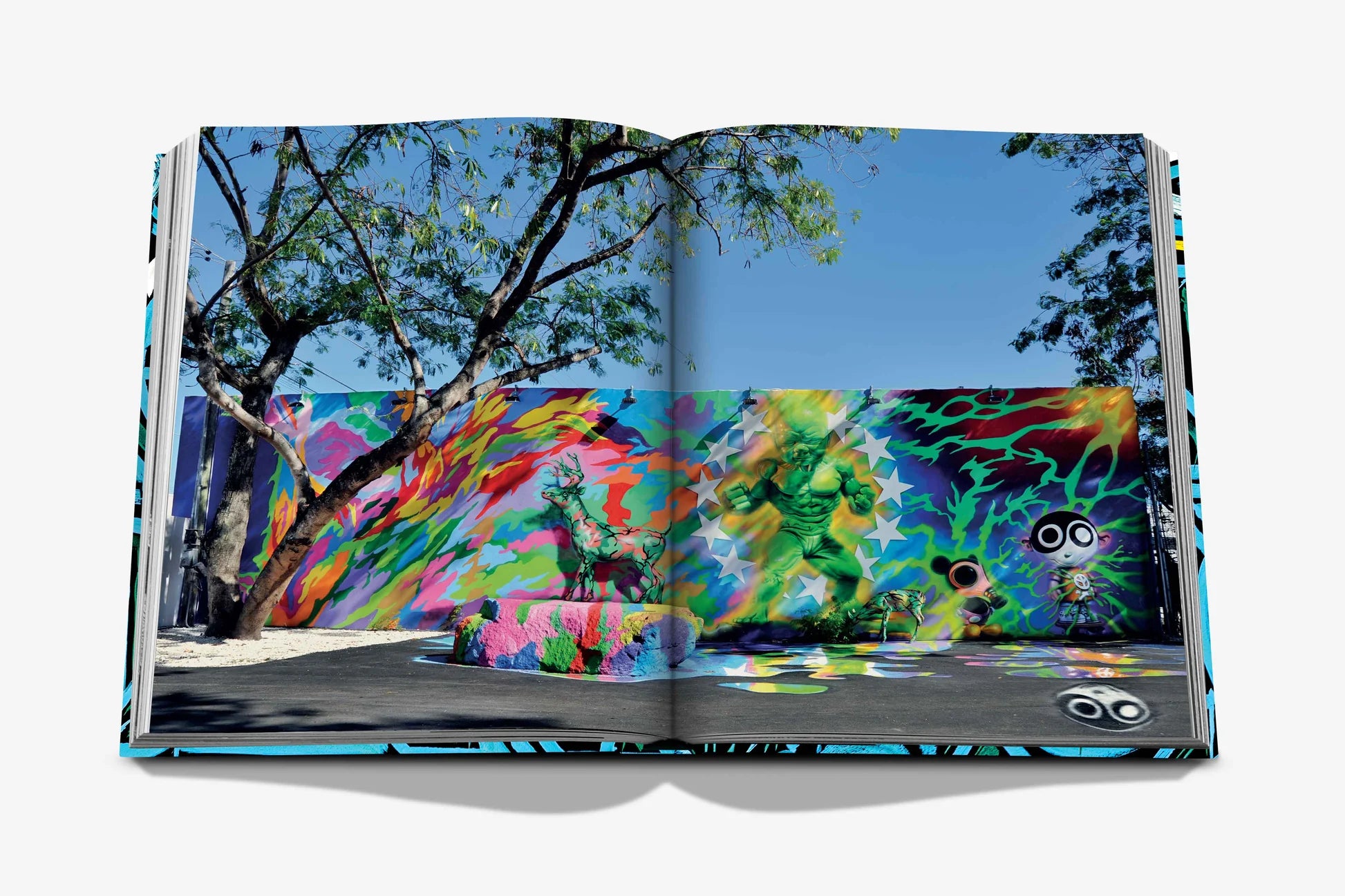 Street Art Icons Story Of Wynwood Walls 9781649802910