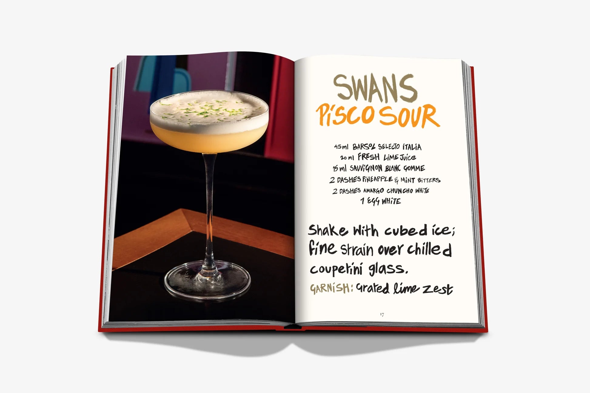 Swans Bar 9781649803856