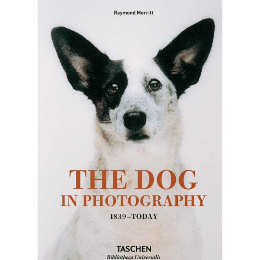 The Dog In Photography 9783836567473