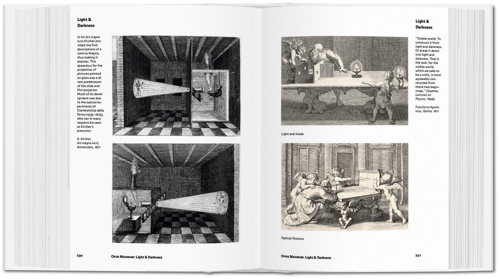 Alchemy & Mysticism 9783836549363