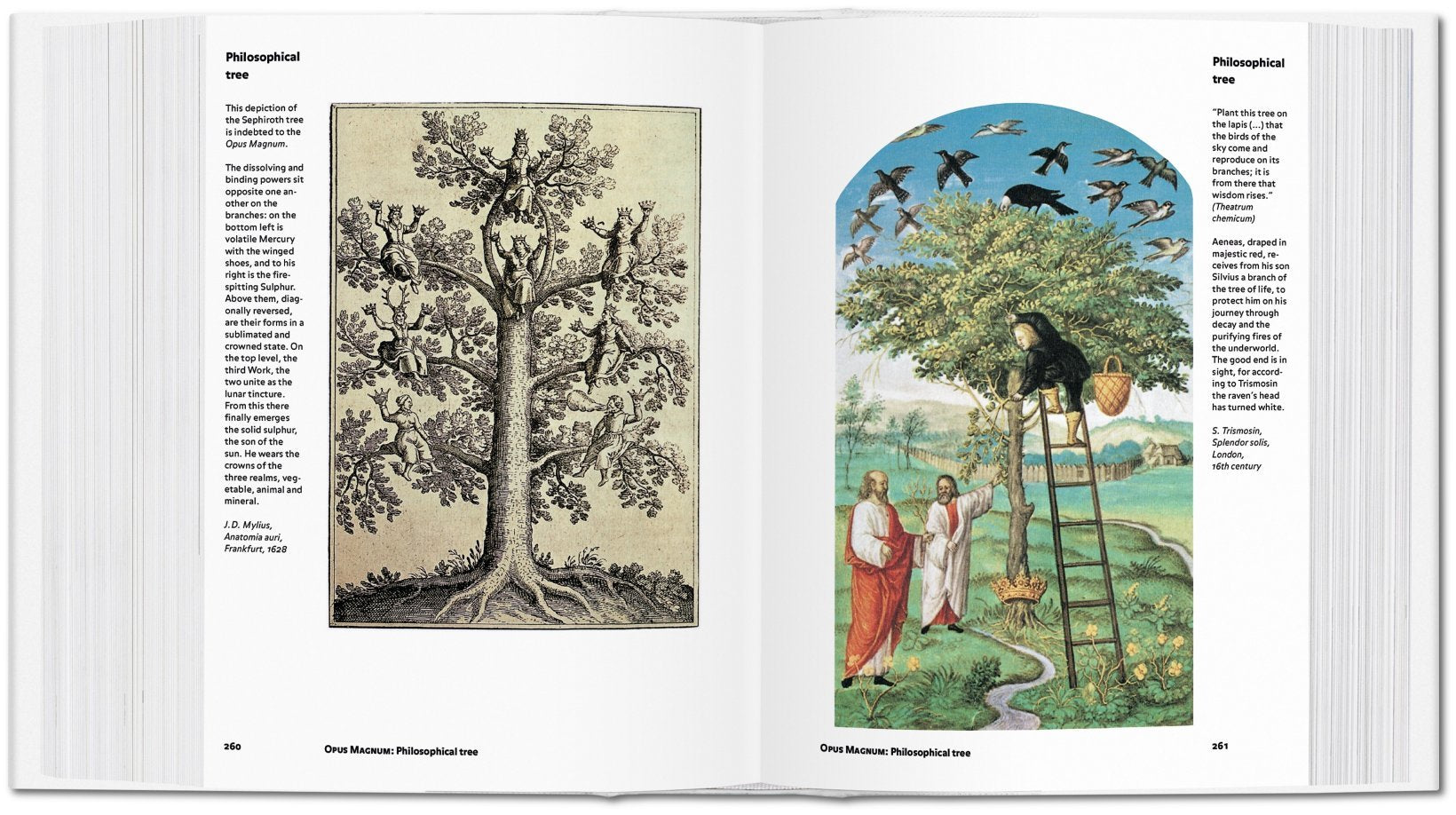 Alchemy & Mysticism 9783836549363