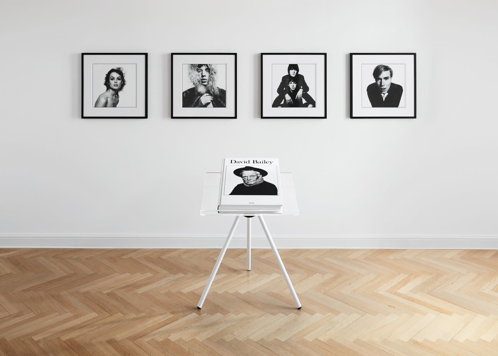 David Bailey - Xxl 9783836558105