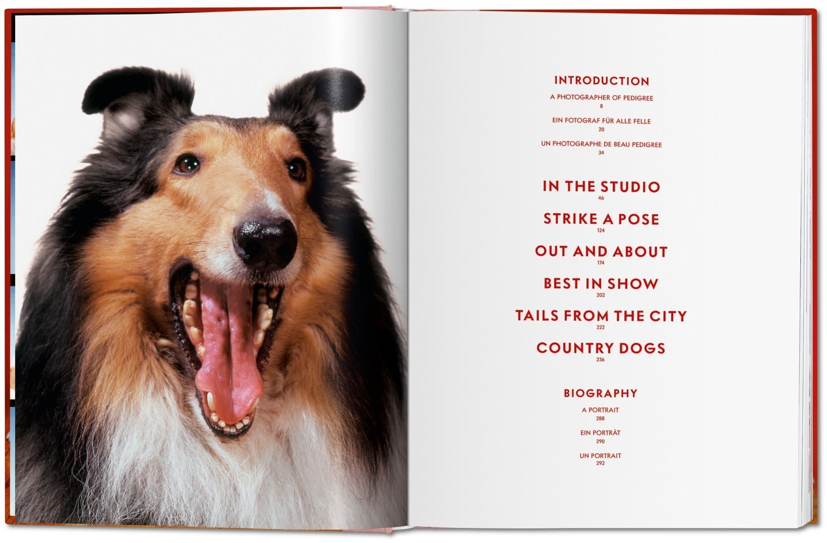 Dogs PHOTOGRAPHS1941-1991 9783836584296