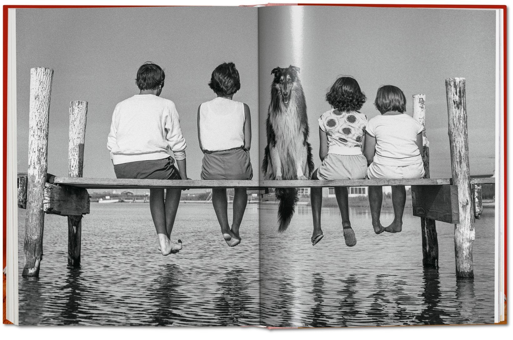 Dogs PHOTOGRAPHS1941-1991 9783836584296