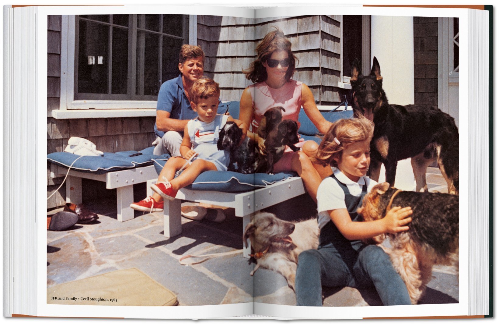 The Dog In Photography 9783836567473
