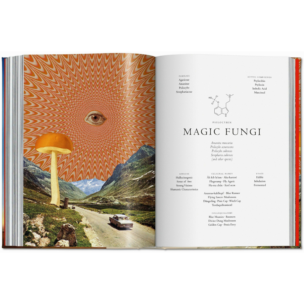 Plant Magick. The Library of Esoterica