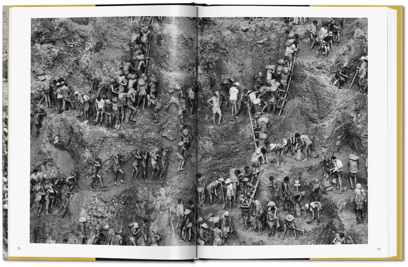 Gold - Sebastiao Salgado 9783836575089
