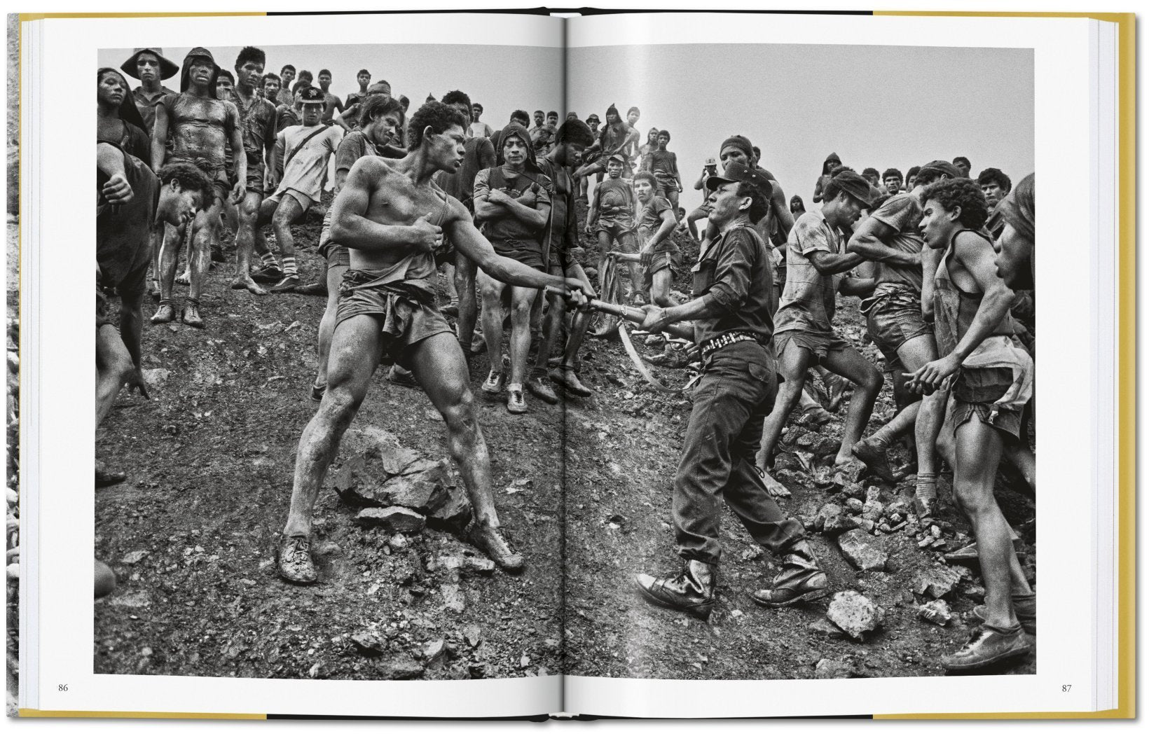 Gold - Sebastiao Salgado 9783836575089