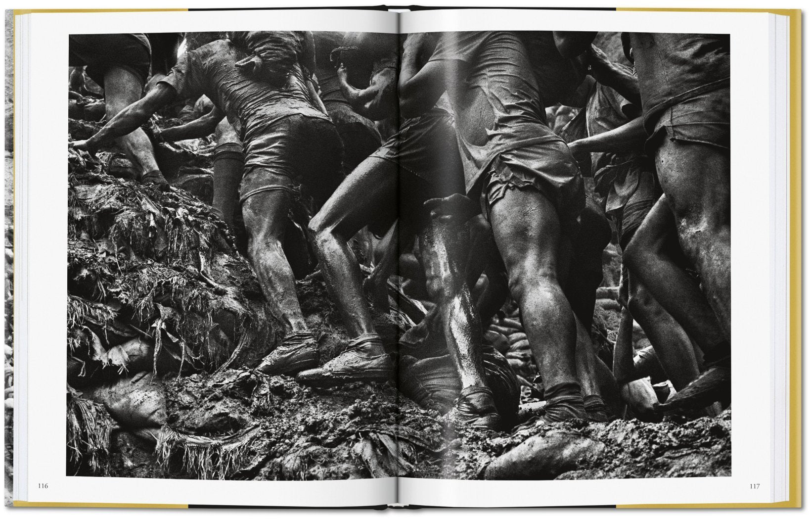 Gold - Sebastiao Salgado 9783836575089