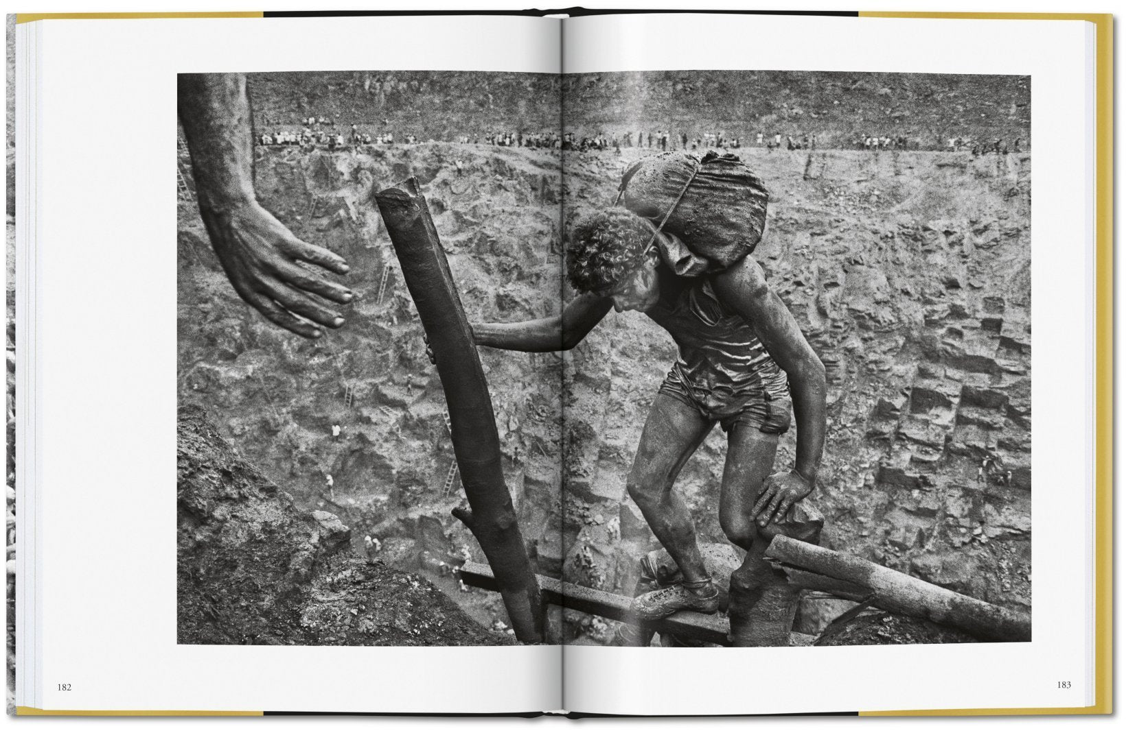 Gold - Sebastiao Salgado 9783836575089