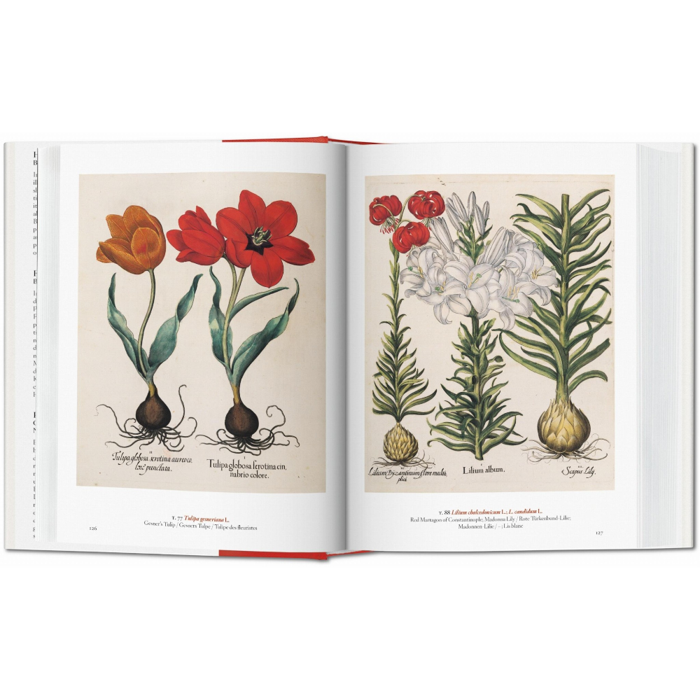 A Garden Eden. Masterpieces of Botanical Illustration. 45th Ed.