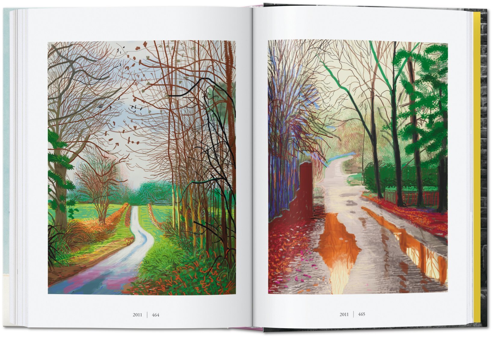 David Hockney - A Chronology - 40TH 9783836582490