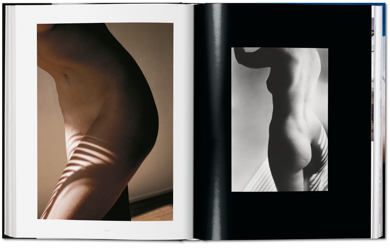 Nude - Ralph Gibson 9783836568883