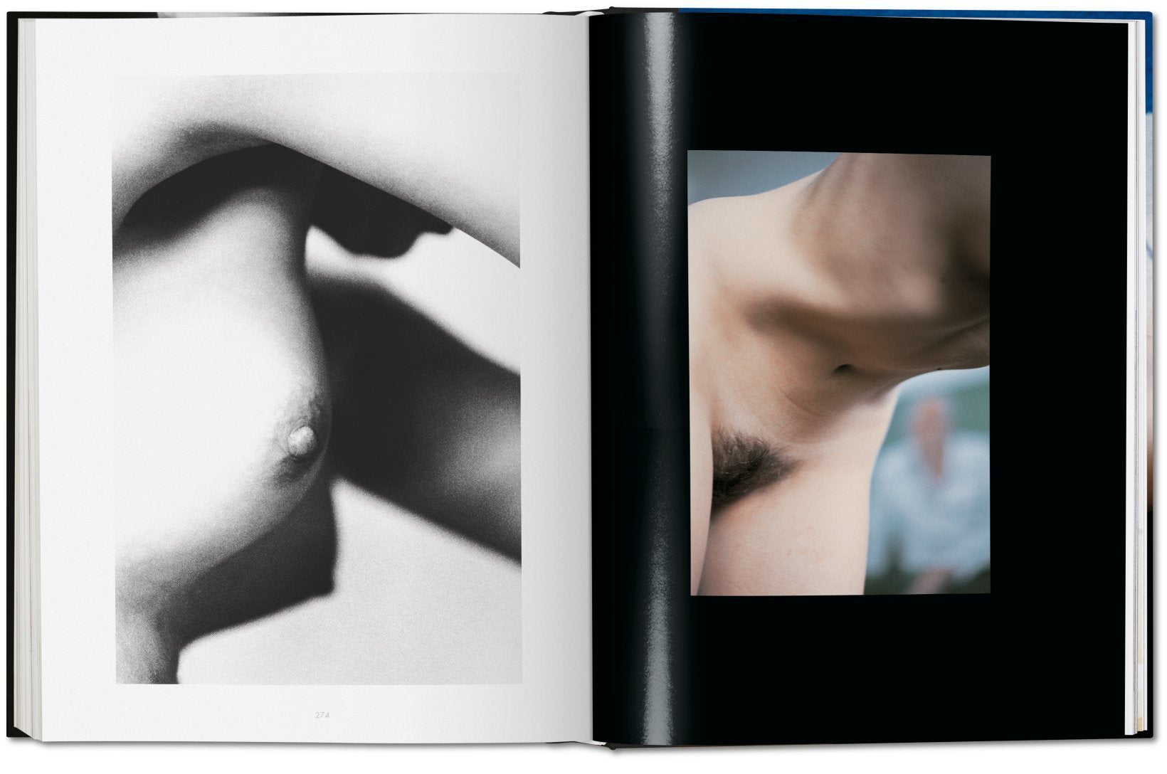 Nude - Ralph Gibson 9783836568883