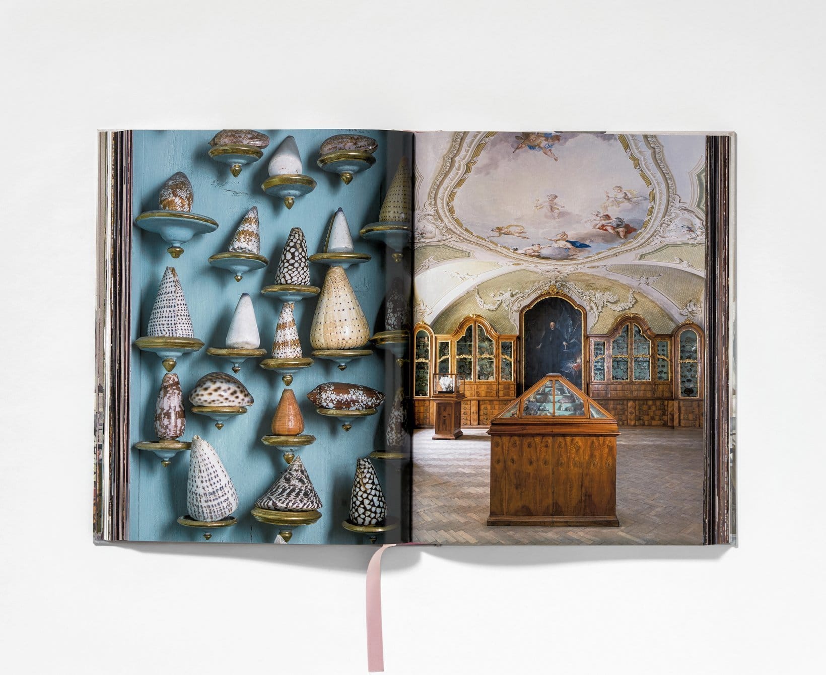 Cabinets Of Curiosities Massimo Listri 9783836540353