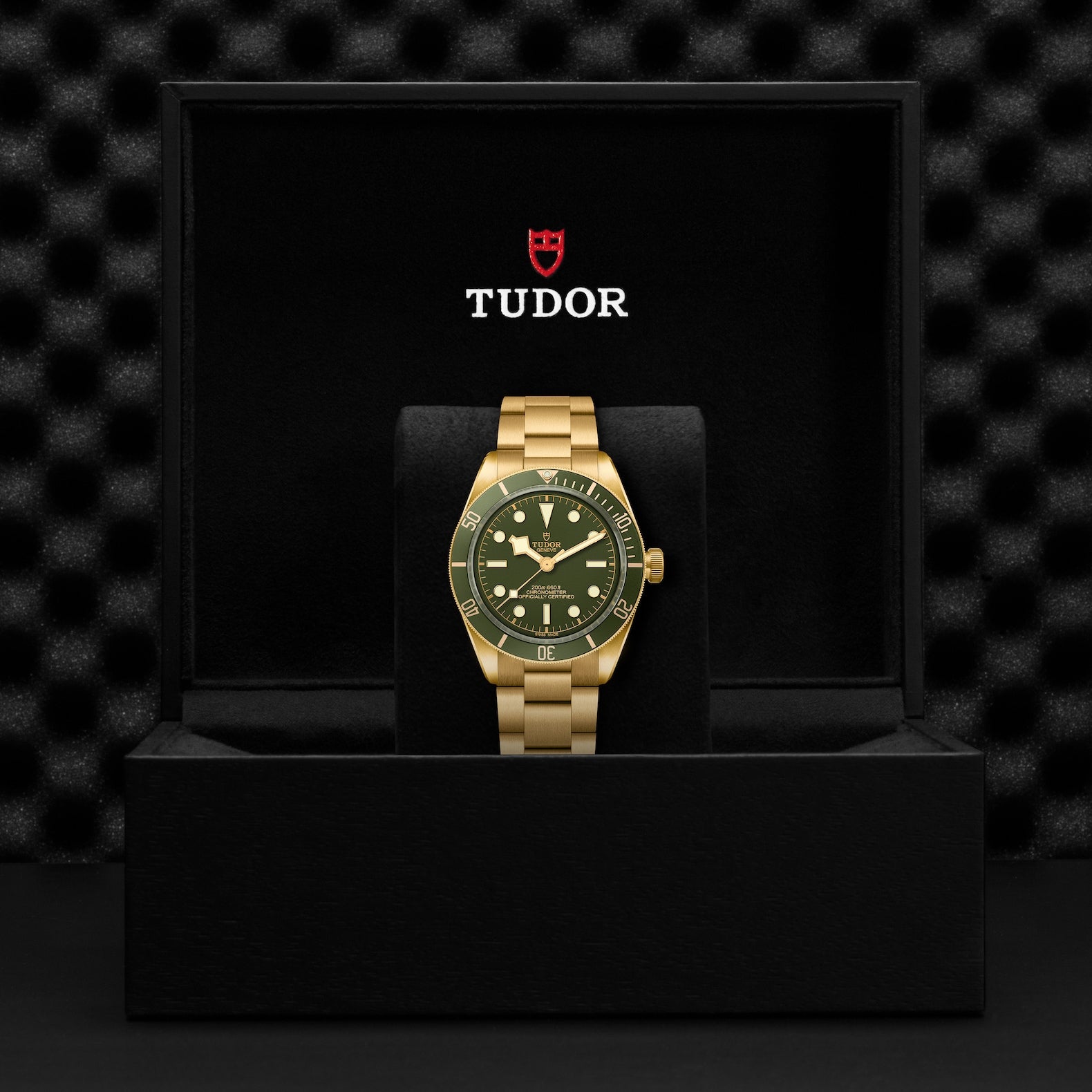 Black Bay 58 18K Yg 39MM Green Dial M79018V-0006 AU750