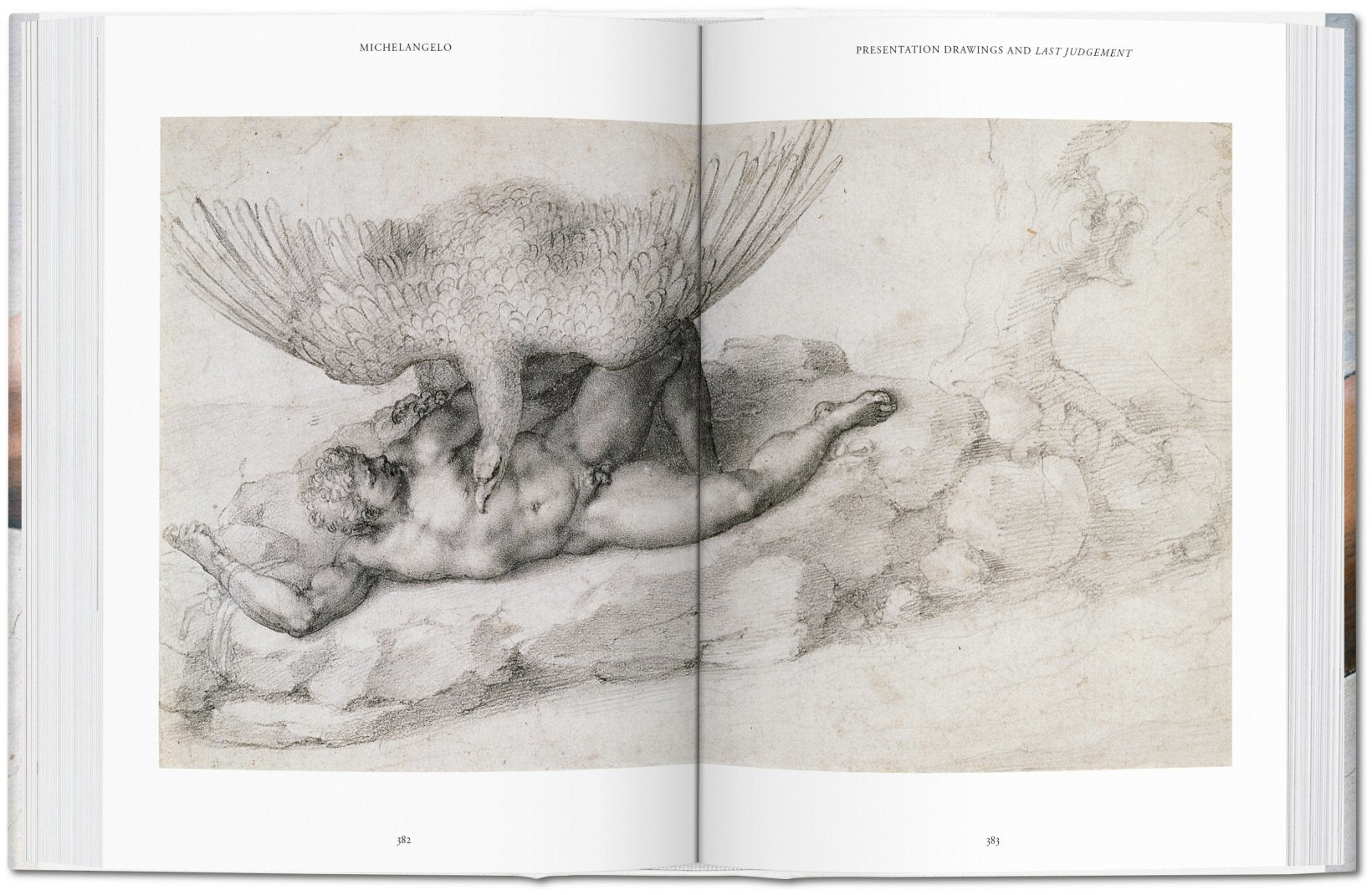 Michelangelo - Complete Paintings 9783836537162