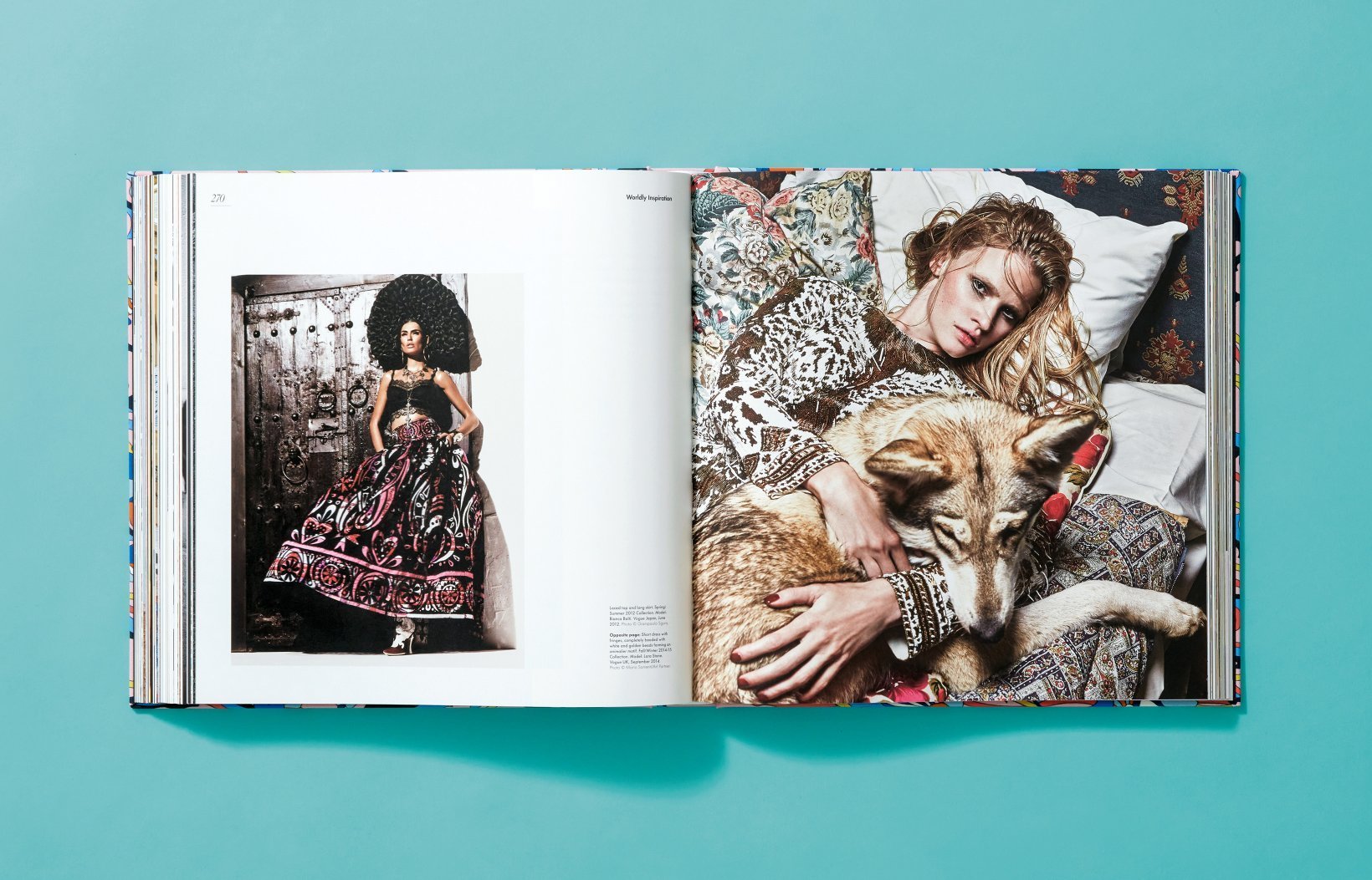 Pucci 2ND Edition 9783836582766