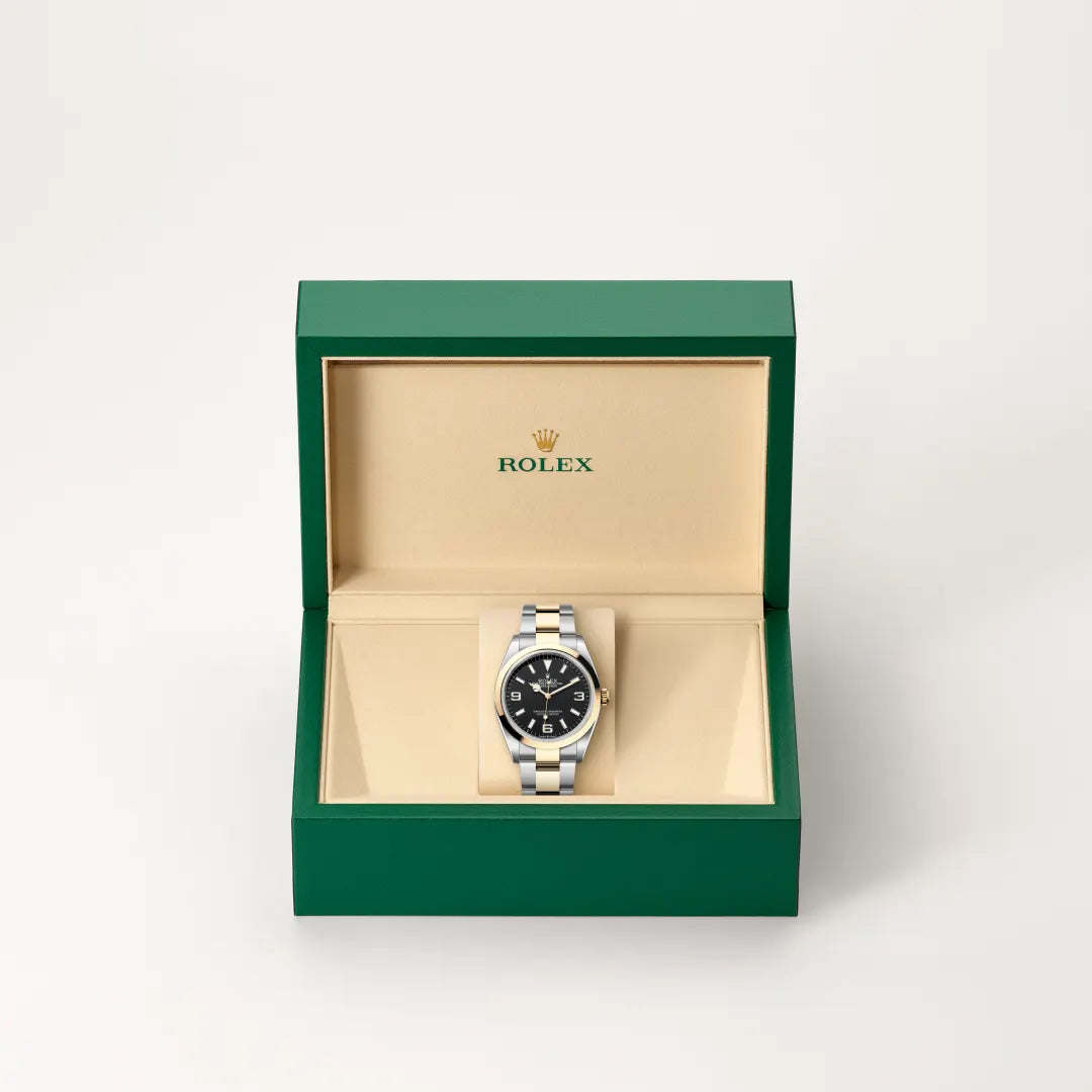 Rolex Explorer in Oystersteel and yellow gold, M124273-0001 - Edwards Lowell