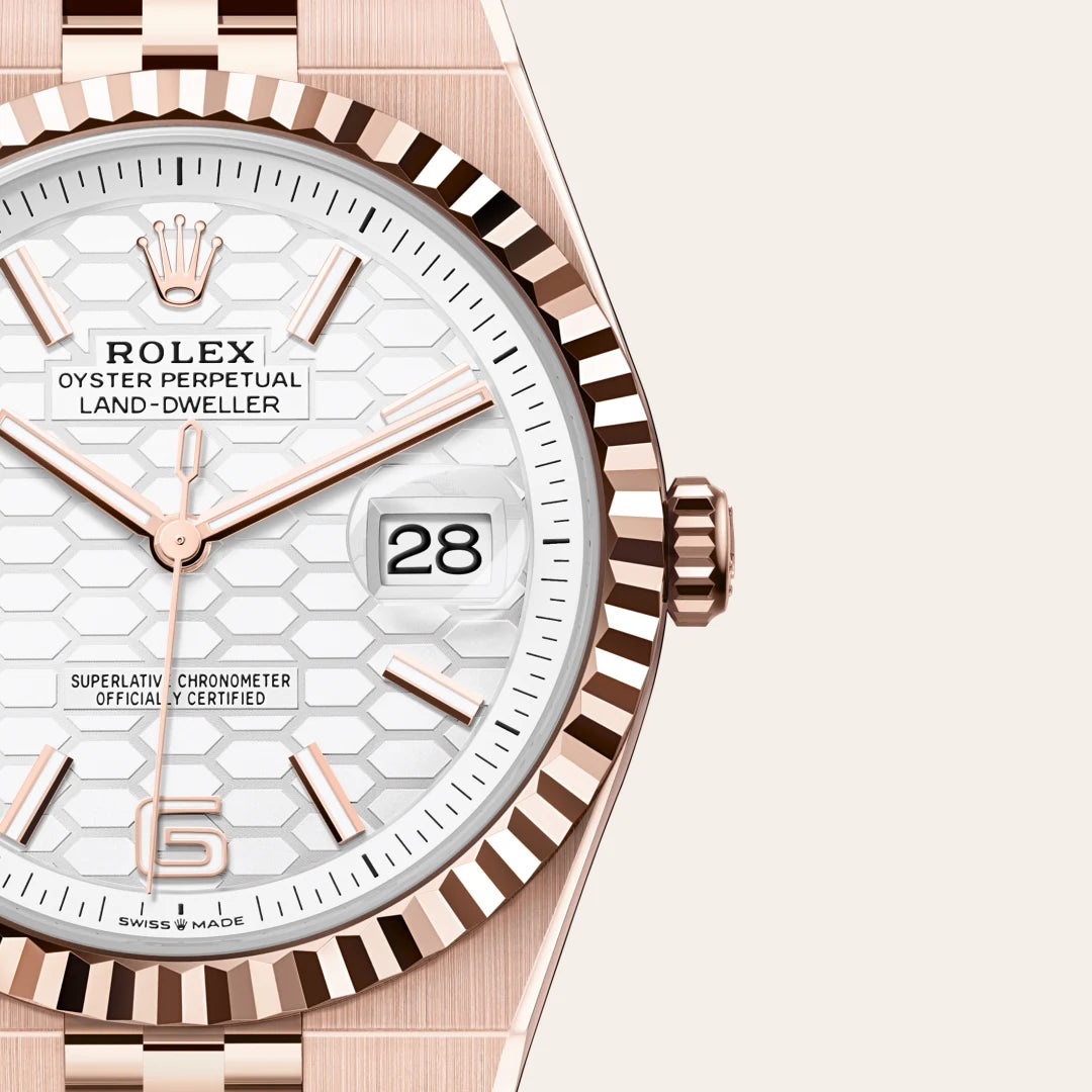 Rolex Land-Dweller in Everose gold, M127335-0001 - Edwards Lowell
