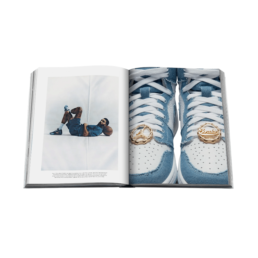Air Jordan (CLASSIC) 9781649805263
