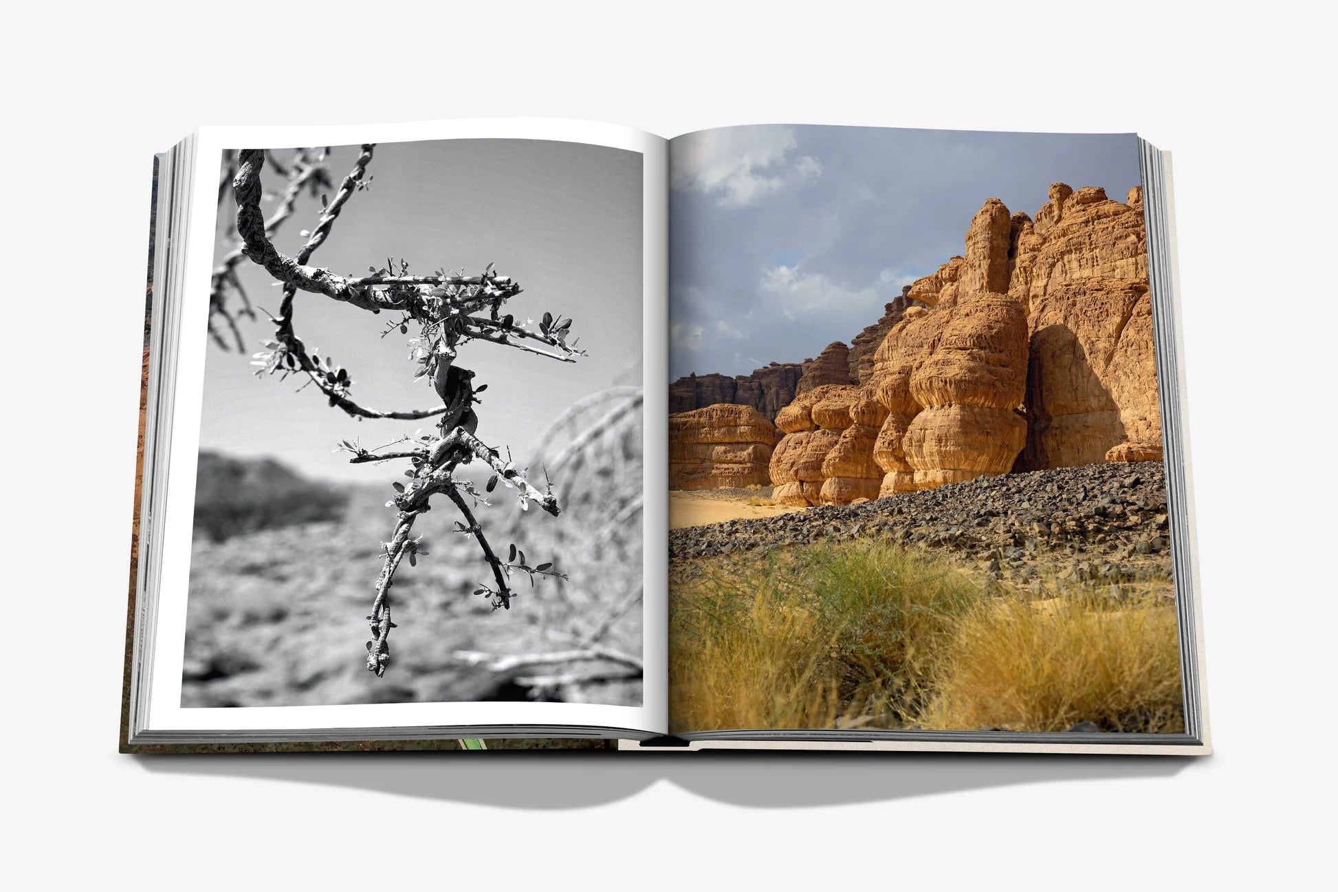 Alula Flora 9781649803382