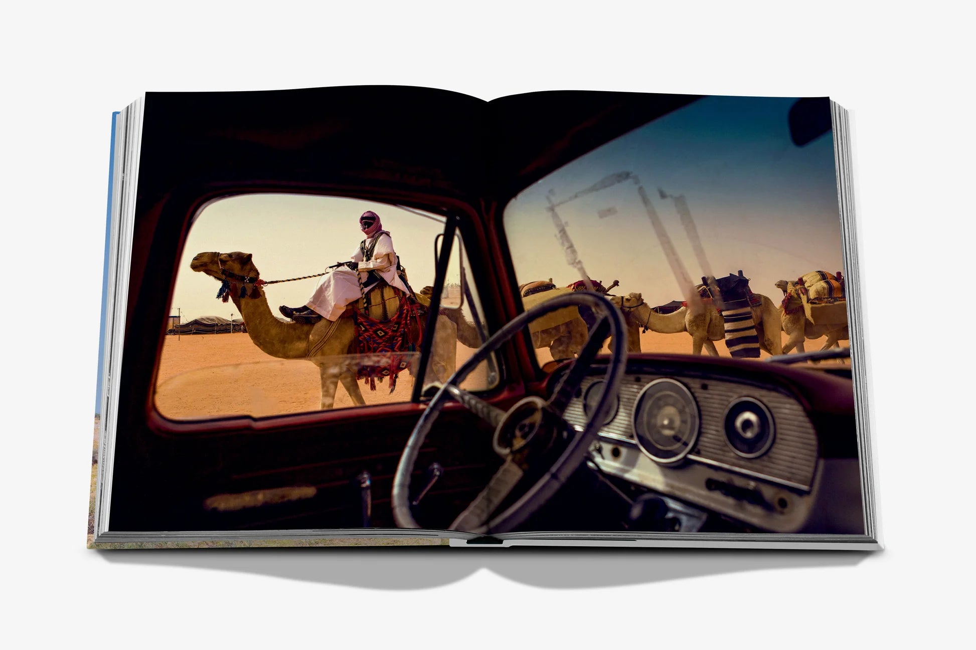 Camels From Saudi Arabia (CLASSIC) 9781649803672
