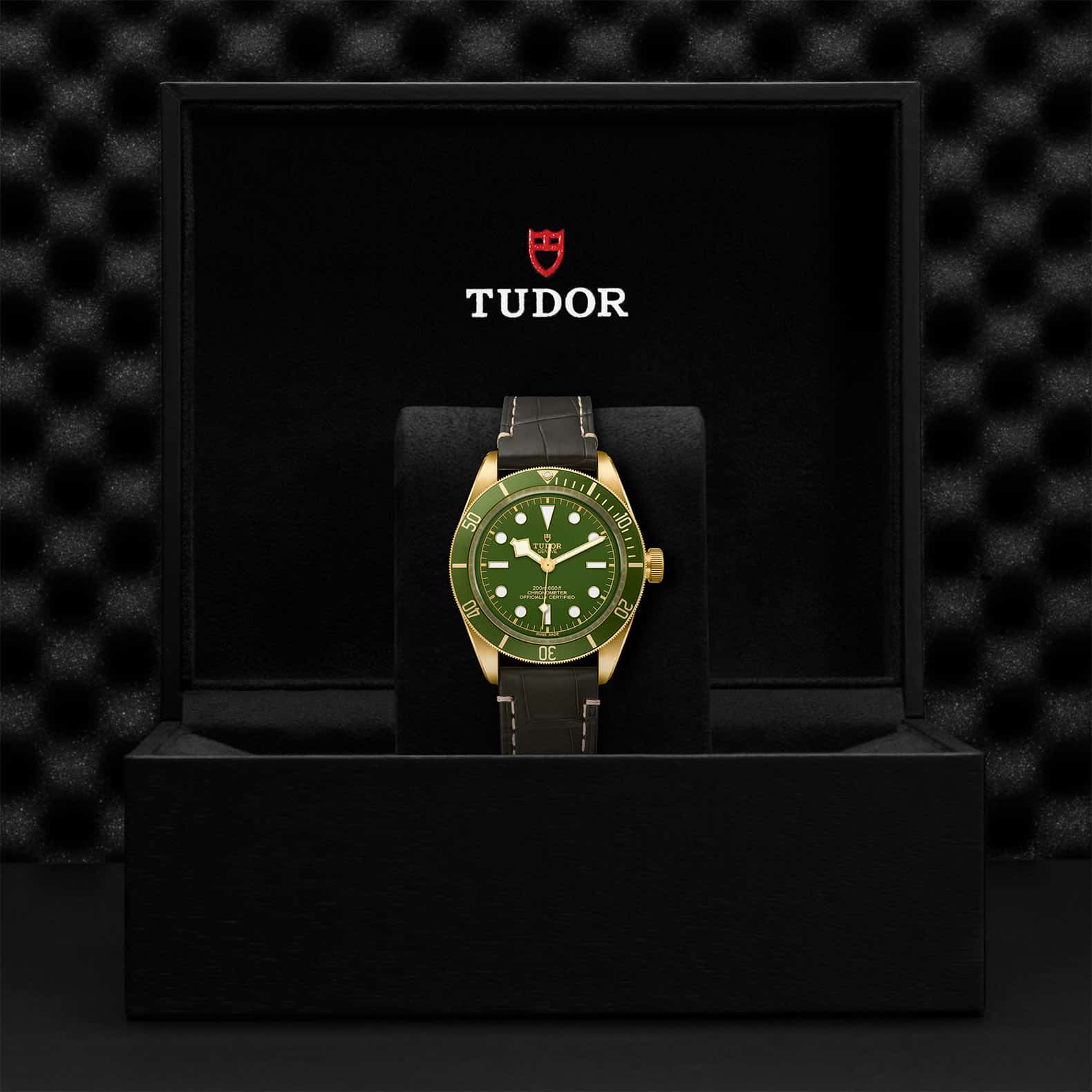 Black Bay Yellow Gold M79018V-0001 AU750