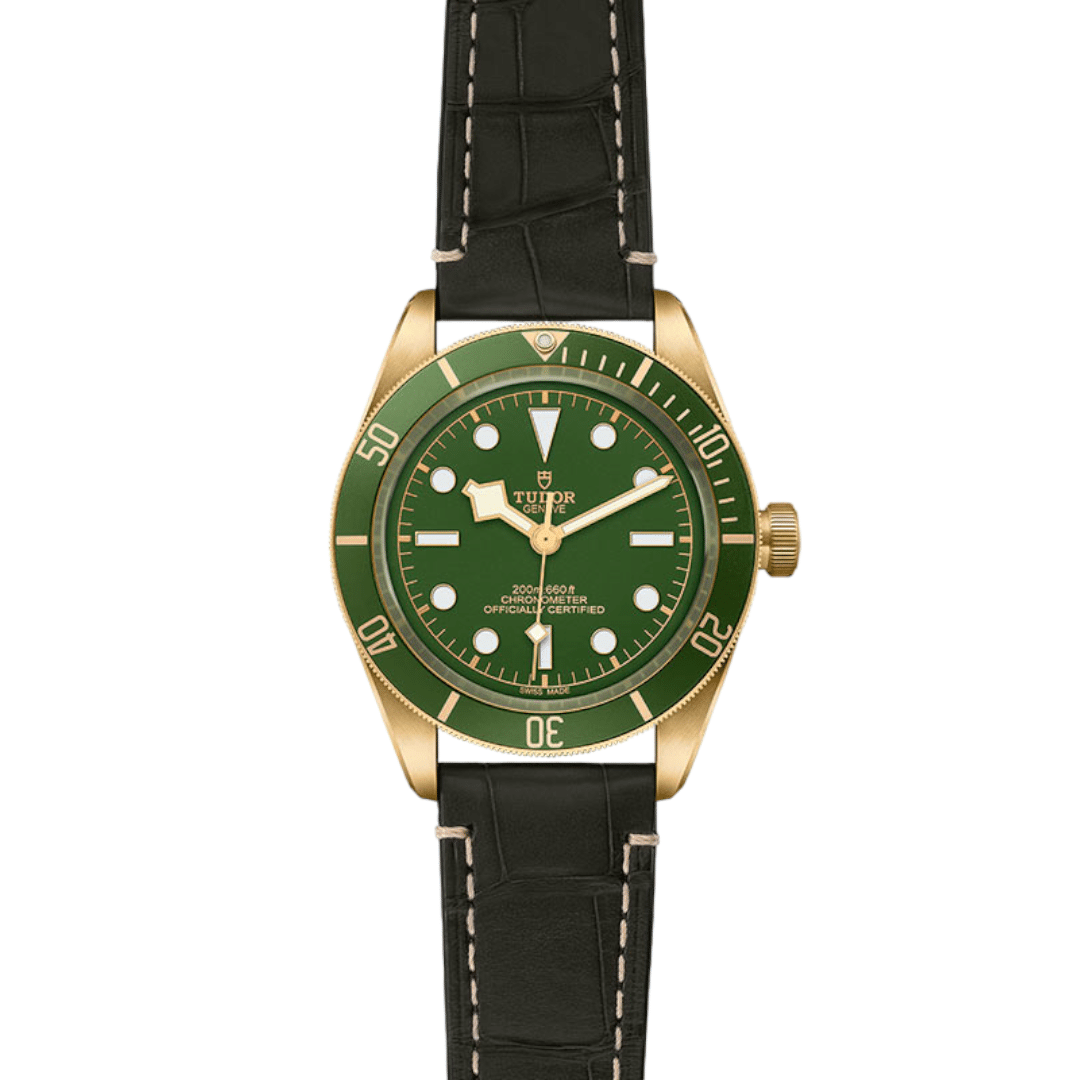 Black Bay Yellow Gold M79018V-0001 AU750