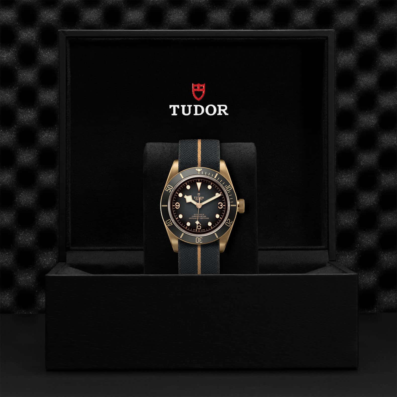 Black Bay Bronze Slate Index Fabr Str M79250BA-0002