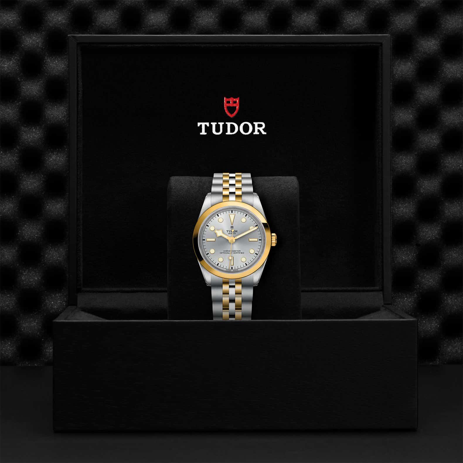 Black Bay 36MM St/yg Silver Dial M79643-0002
