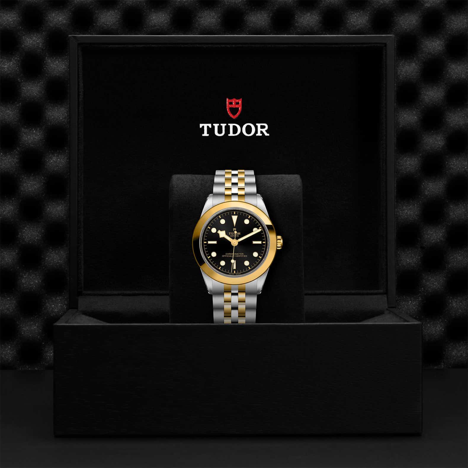 Black Bay Steel And Yellow Gold M79663-0001