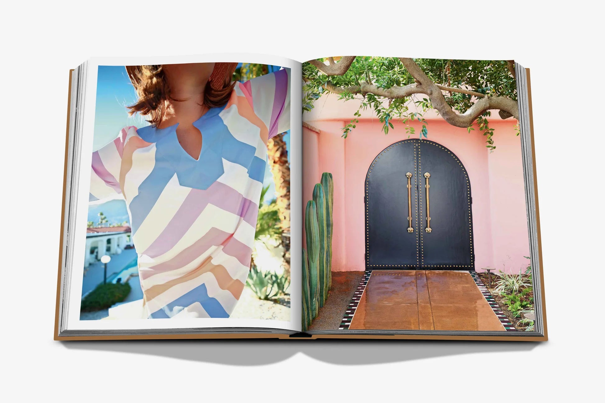 Palm Springs 9781649803511