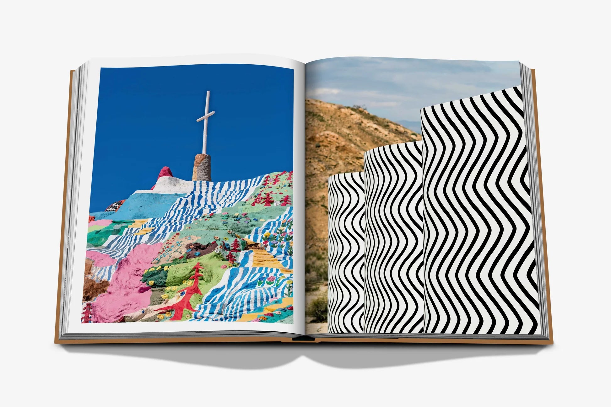 Palm Springs 9781649803511