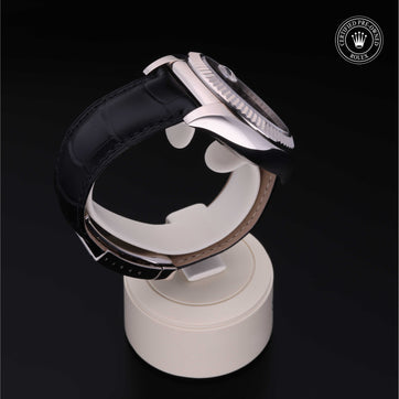 Rolex Sky-Dweller 326139