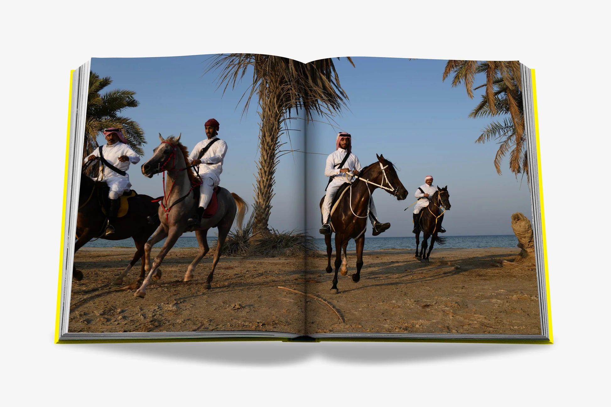 Saudi Arabia: Al-ahsa Oasis 9781649800923