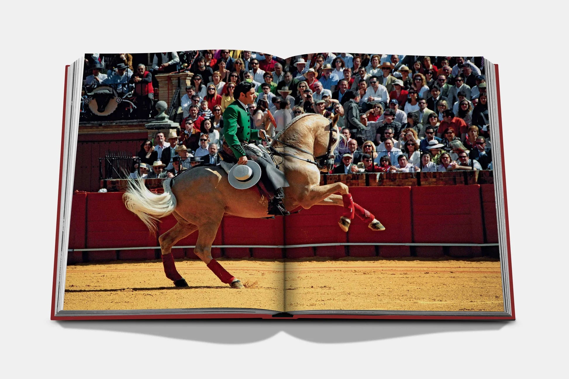 Sevilla Arte 9781649803405